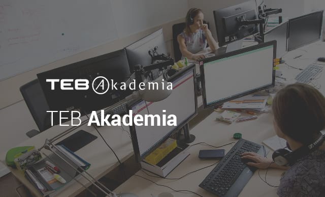 Strona internetowa dla TEB Akademia